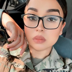 Palomino, 19940712, Chicago Heights, Illinois, United States Palomino, 19940712, Chicago Heights, Illinois, United States