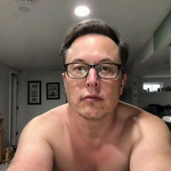 elonmusk3463, 19710628, California City, California, United States elonmusk3463, 19710628, California City, California, United States
