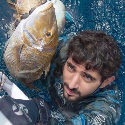 Princefazza, 19731114, Abu Dhabi, Abu Dhabi, United Arab Emirates